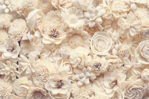 flowers, ivory, cream-7751584.jpg
